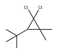 3-tert-Butyl-1,1-dichloro-2,2-dimethylcyclopropane Struktur