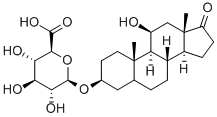 11B-하이드록시에티오콜라놀론글루쿠로나이드