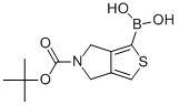 5-(TERT-BUTOXYCARBONYL)-5,6-DIHYDRO-4H-THIENO[3,4-C]PYRROL-1-YL BORONIC ACID|