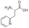 3-(2-ピリジニル)-L-アラニン 化学構造式