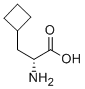 D-3-シクロブチルアラニン 化学構造式