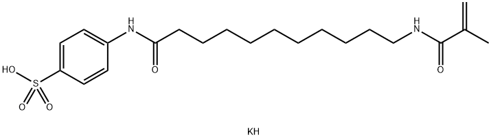 potassium 4-(11-methacrylamidoundecanamido)benzenesulfonate|钾4-{[11-(甲基丙烯酰氨基)十一碳酰]氨基}苯磺酸酯