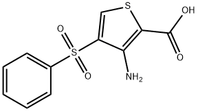 3-氨基-4-(苯磺酰)噻吩-2-甲酸 结构式