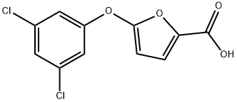 175277-06-2 5-(3,5-ジクロロフェノキシ)-2-フロ酸