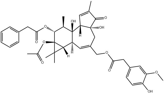 PPAHV Structure