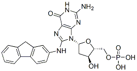 17660-46-7 8-(N-fluoren-2-ylamino)-2'-deoxyguanosine 5'-monophosphate