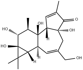 PHORBOL Structure