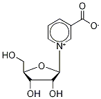 烟酸核糖,17720-18-2,结构式