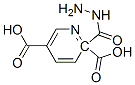 2,5-Pyridinedicarboxylicacid,2-hydrazide(8CI)|