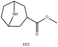 8-Azabicyclo[3.2.1]octane-3-carboxylic acid, methyl ester, hydrochloride (1:1)