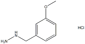 (3-Methoxybenzyl)hydrazine hydrochloride 结构式