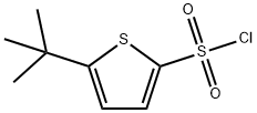 5-tert-Butylthiophene-2-sulfonyl chloride Structure