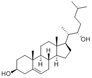 22(R)-HYDROXYCHOLESTEROL