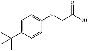 4-TERT-BUTYLPHENOXYACETIC ACID