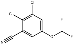 2,3-Dichloro-5-(difluoromethoxy)benzonitrile Structure