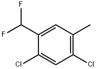 2,4-Dichloro-5-methylbenzodifluoride Structure
