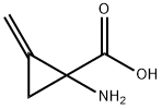 1-aMino-2-Methylenecyclopropanecarboxylic acid (Hydrochloride) Structure