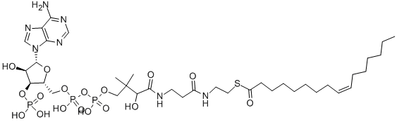 (C16:1) COENZYME A|棕榈油酰辅酶A锂盐