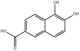 2-Naphthalenecarboxylic acid, 5,6-dihydroxy- (9CI)|