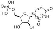 Uracil Arabinonucleoside 5'-Phosphate