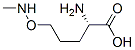 L-Norvaline, 5-[(methylamino)oxy]- (9CI) Structure