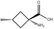 Cyclobutanecarboxylic acid, 1-amino-3-methyl-, trans- (9CI)|反式-1-氨基-3-甲基环丁烷甲酸