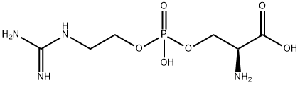 りん酸2-[[アミノ(イミノ)メチル]アミノ]エチル[(S)-2-カルボキシ-2-アミノエチル] 化学構造式