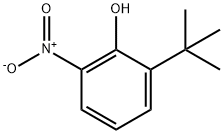 2-tert-butyl-6-nitrophenol Structure