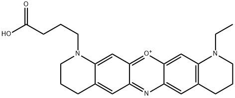 MR 121 Structure