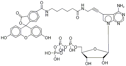 Fluorescein Alkynylamino-ATP Struktur
