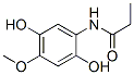 Propanamide, N-(2,5-dihydroxy-4-methoxyphenyl)- (9CI) Structure