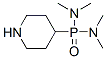 Bis(dimethylamino)4-piperidylphosphine oxide Structure