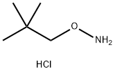 2,2-DIMETHYL-1-PROPANOXYAMINE HYDROCHLORIDE Struktur