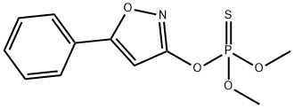 DIMEX Structure