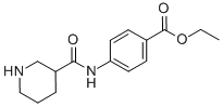 4-[(피페리딘-3-카르보닐)-아미노]-벤조산에틸에스테르