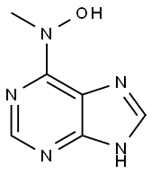 19152-70-6 N-methyl-N-(7H-purin-6-yl)hydroxylamine