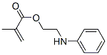 메타크릴산2-아닐리노에틸에스테르