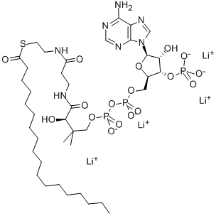 193402-48-1 ステアロイルコエンザイムA リチウム塩