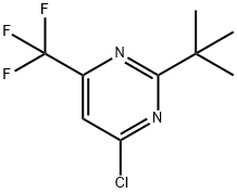 2-tert-Butyl-4-chloro-6-trifluoroMethyl-pyriMidine|2-叔丁基-4-氯-6-(三氟甲基)嘧啶