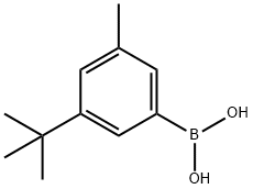 (3-T-BUTYL-5-METHYLPHENYL)BORONIC ACID 化学構造式