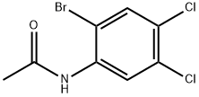 N-(2-Bromo-4,5-dichlorophenyl)acetamide|N-乙酰基-2-溴-4,5-二氯苯胺