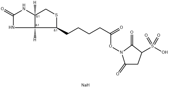 磺基琥珀生物素 结构式