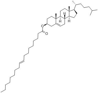 19485-76-8 エライジン酸コレステリル