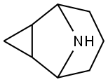 9-Azatricyclo[3.3.1.02,4]nonane(9CI) Struktur