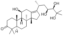 19885-10-0 (8α,9β,14β,23S,24R)-11β,23,24,25-テトラヒドロキシ-5α-ダンマラ-13(17)-エン-3-オン