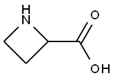 DL-氮杂环丁烷-2-羧酸,20063-89-2,结构式