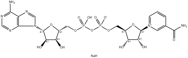 β-Nicotinamide adenine dinucleotide sodium salt  price.
