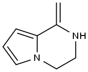 Pyrrolo[1,2-a]pyrazine, 1,2,3,4-tetrahydro-1-methylene- (9CI) 结构式