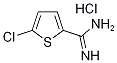 5-Chlorothiophene-2-carboximidamide hydrochloride Structure