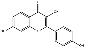 5-脱氧莰非醇, 2034-65-3, 结构式